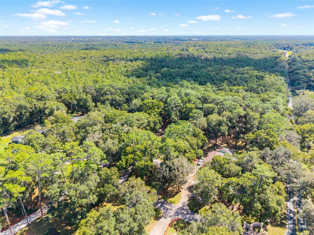 42 SE 103rd Street Ocala FL 34480 OM711674 image65