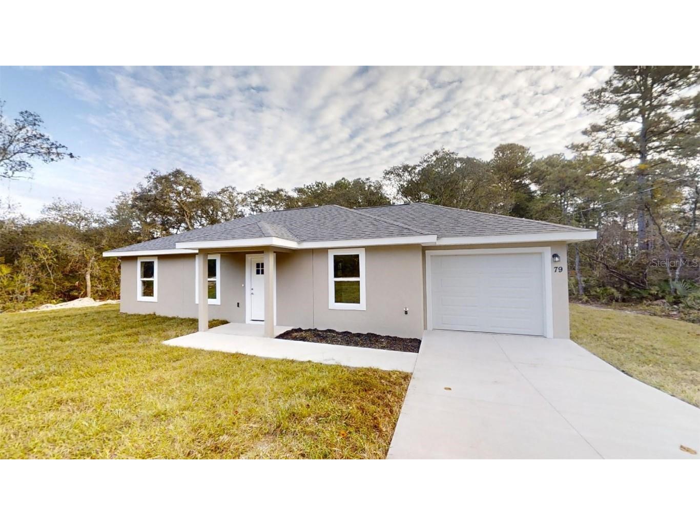 42 Sequoia Loop Court Ocklawaha FL 32179 OM715111 image1