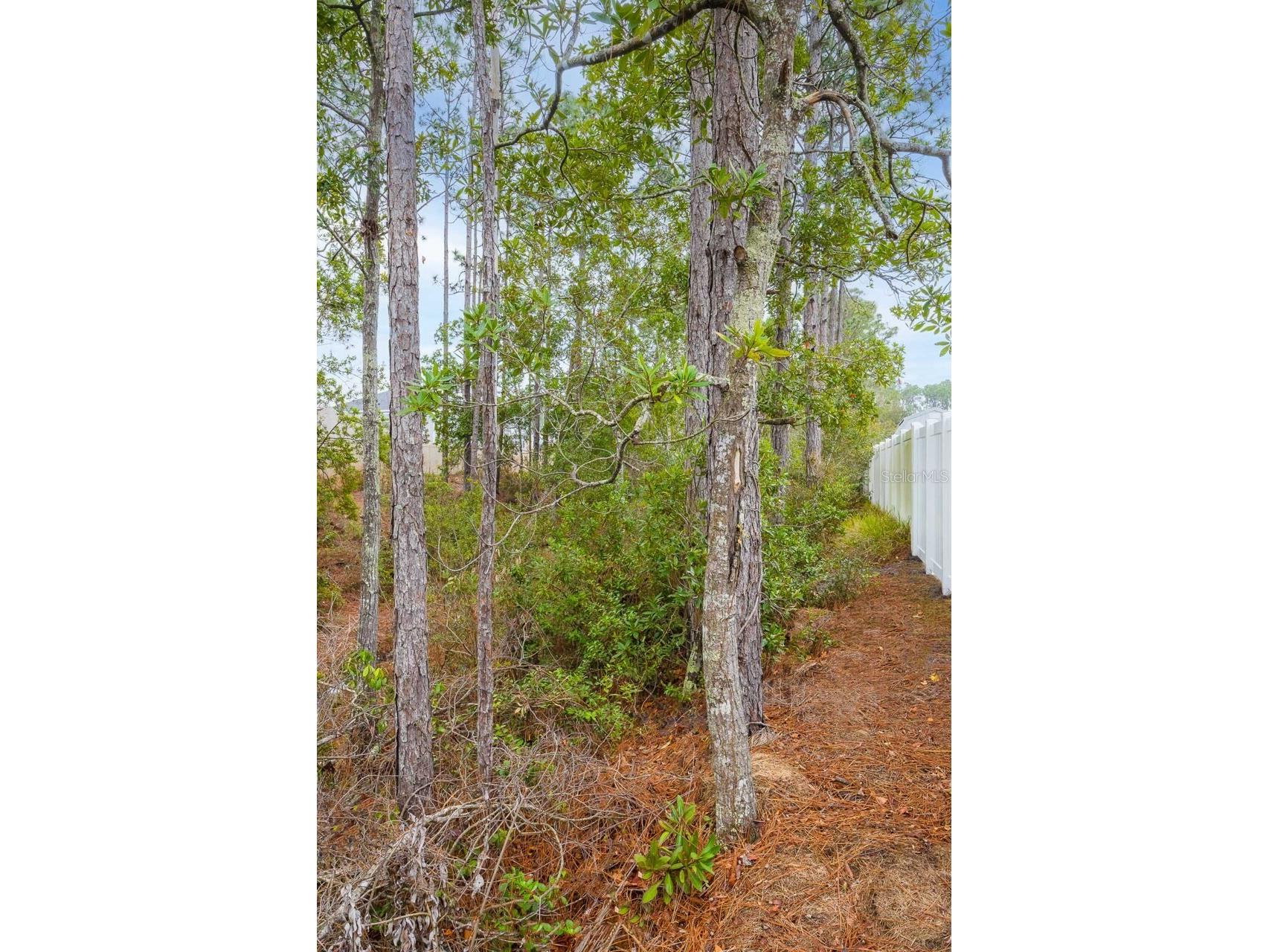 42 Woodborn Lane Palm Coast FL 32164 FC316330 image30