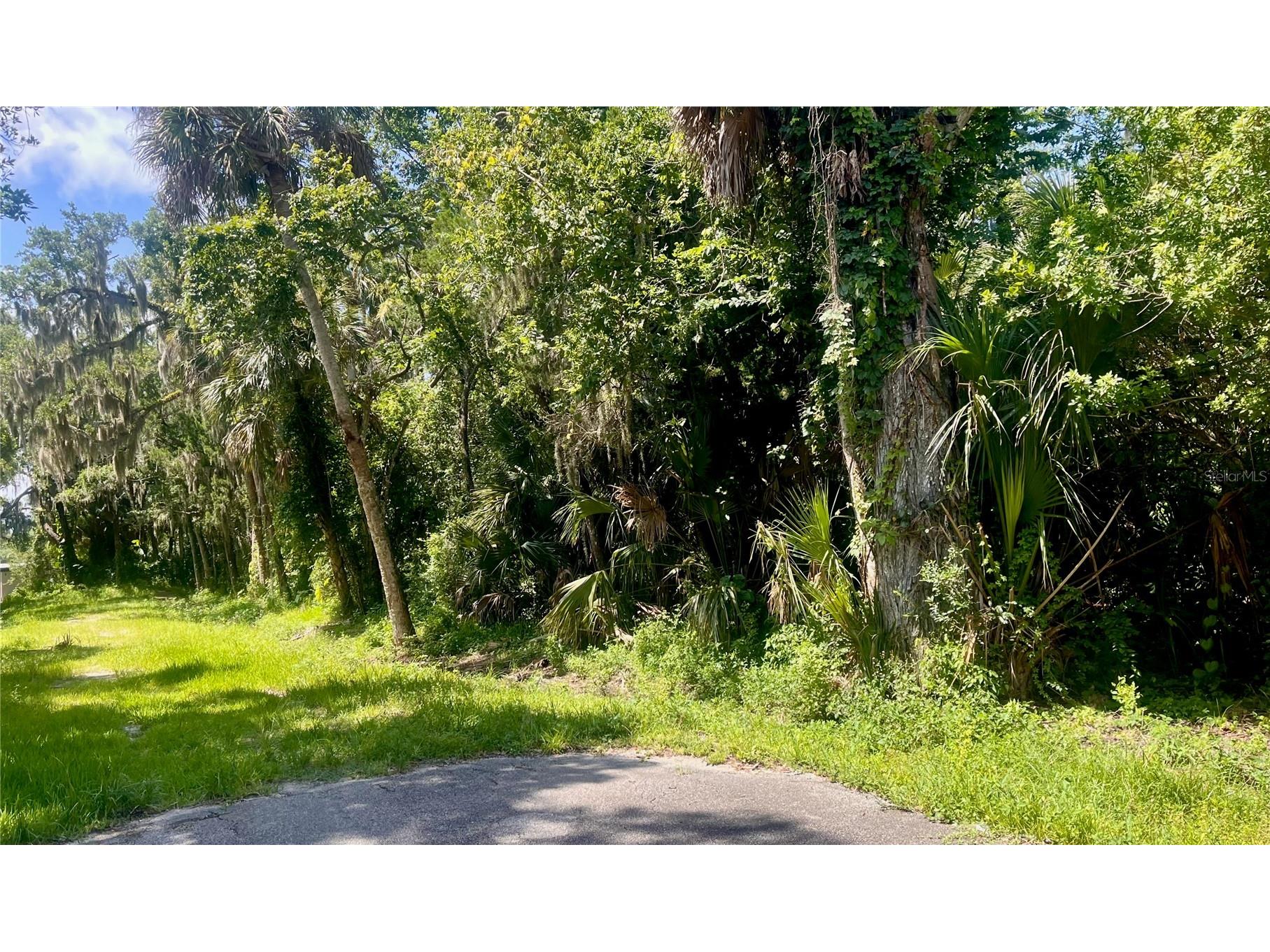 420-428 Palmetto Street Edgewater FL 32132 NS1088645 image3