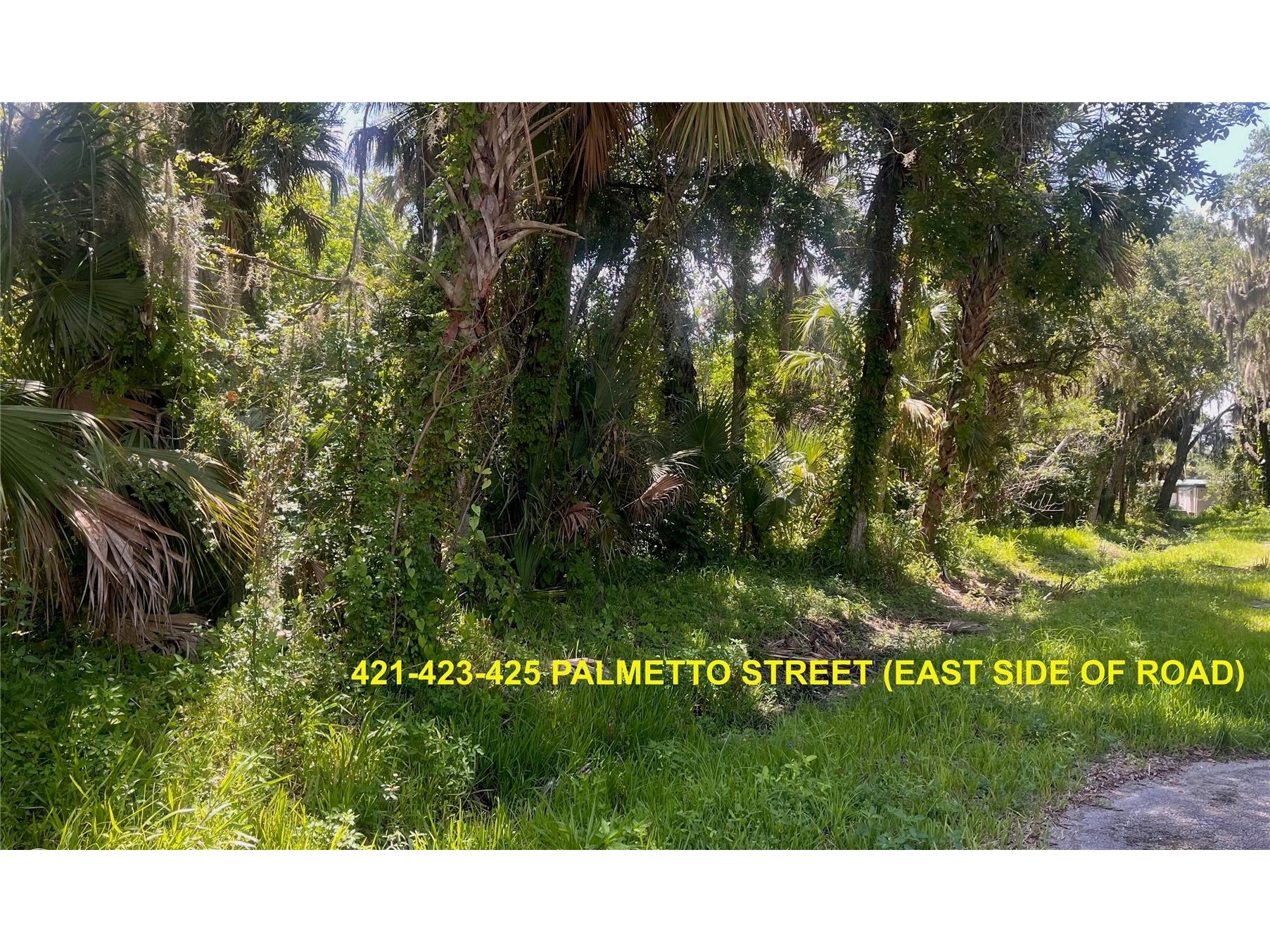 420-428 Palmetto Street Edgewater FL 32132 NS1088645 image4