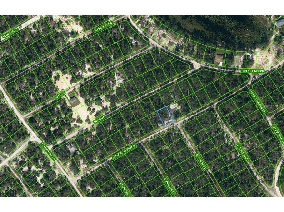 420 Apple Blossom Court Lake Placid FL 33852 OM624337 image1