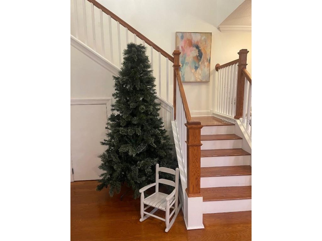 420 Barcelona Drive Saint Petersburg FL 33716 TB8453759 image6