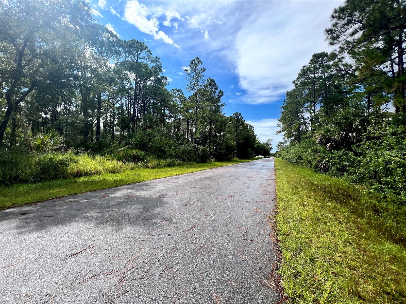 420 Bonsell Lane Port Charlotte FL 33953 C7520823 image3