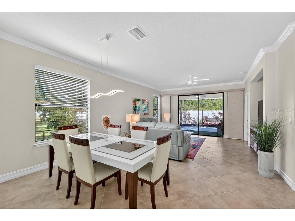 420 Cedar Falls Drive Apollo Beach FL 33572 TB8436360 image10