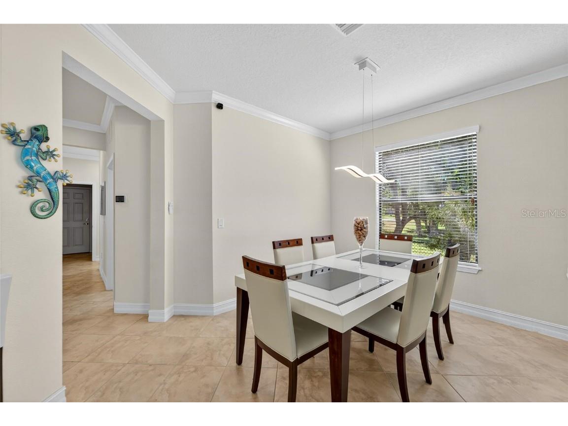 420 Cedar Falls Drive Apollo Beach FL 33572 TB8436360 image11