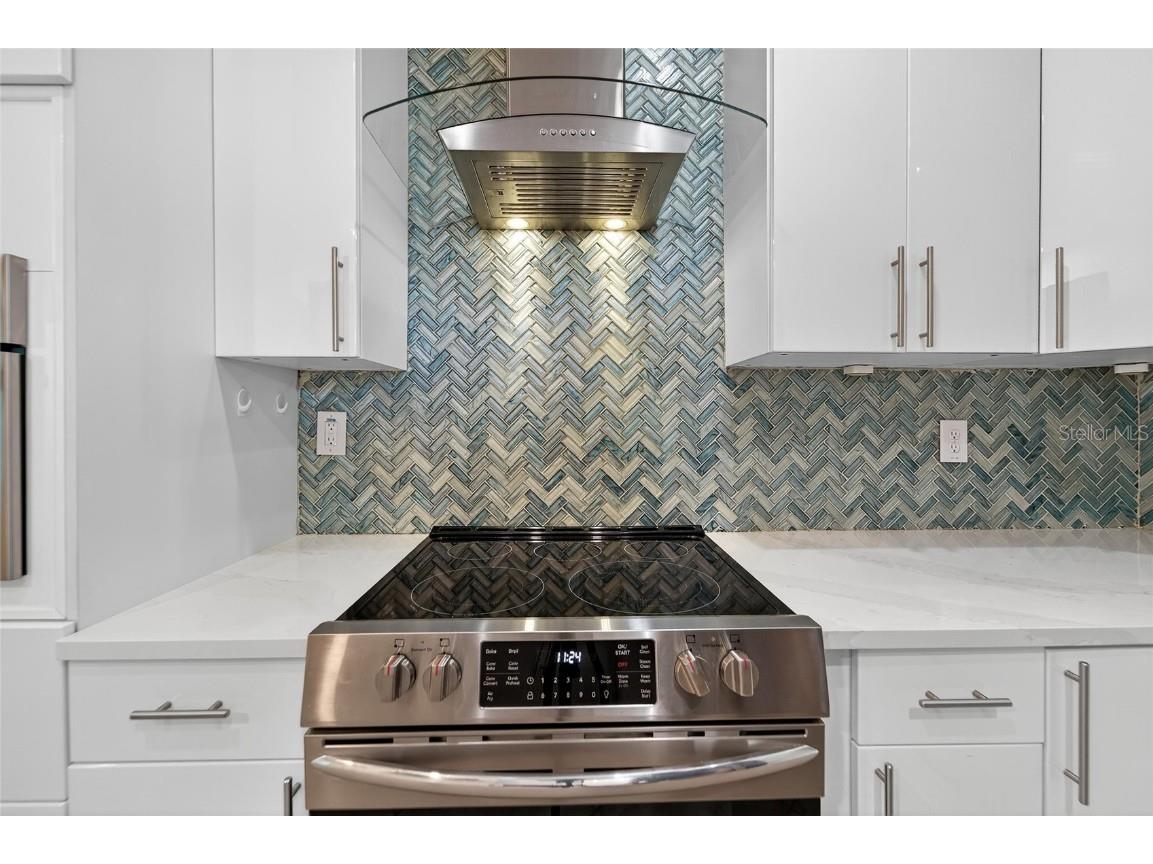 420 Cedar Falls Drive Apollo Beach FL 33572 TB8436360 image22