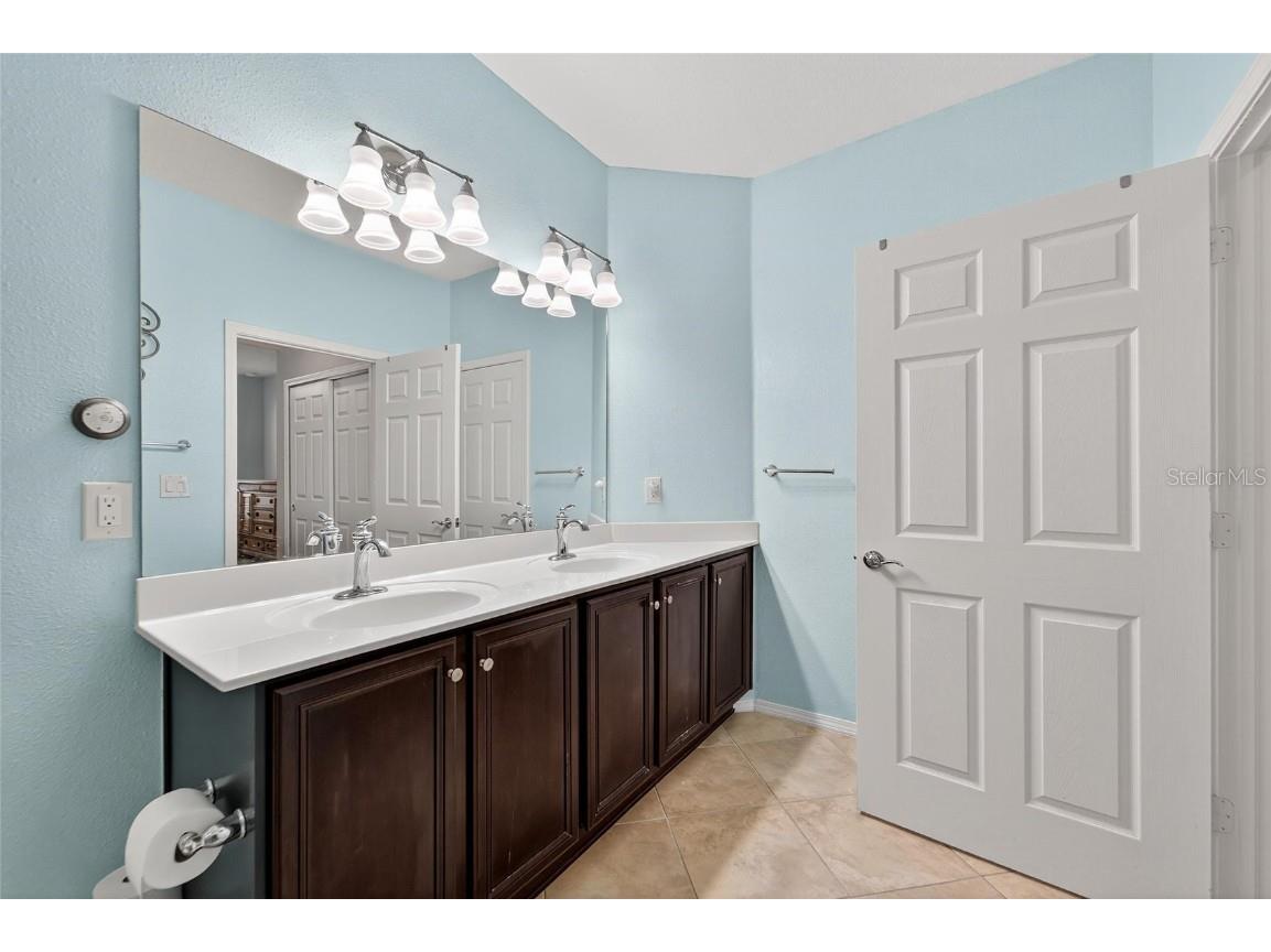 420 Cedar Falls Drive Apollo Beach FL 33572 TB8436360 image28