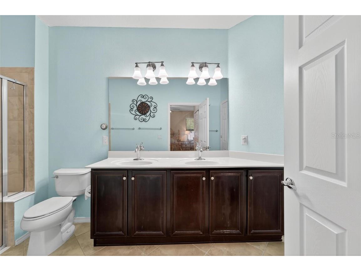 420 Cedar Falls Drive Apollo Beach FL 33572 TB8436360 image29