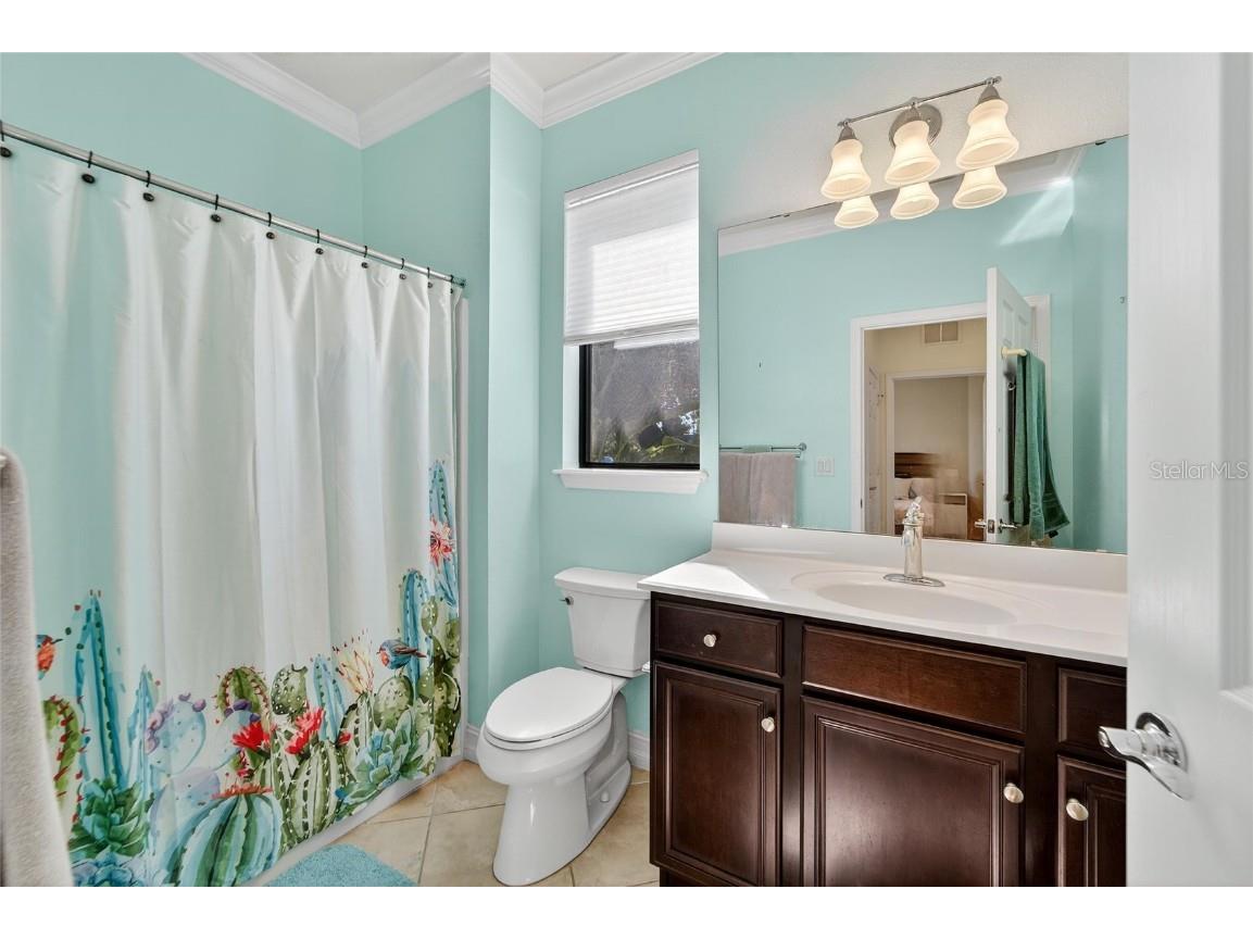 420 Cedar Falls Drive Apollo Beach FL 33572 TB8436360 image35