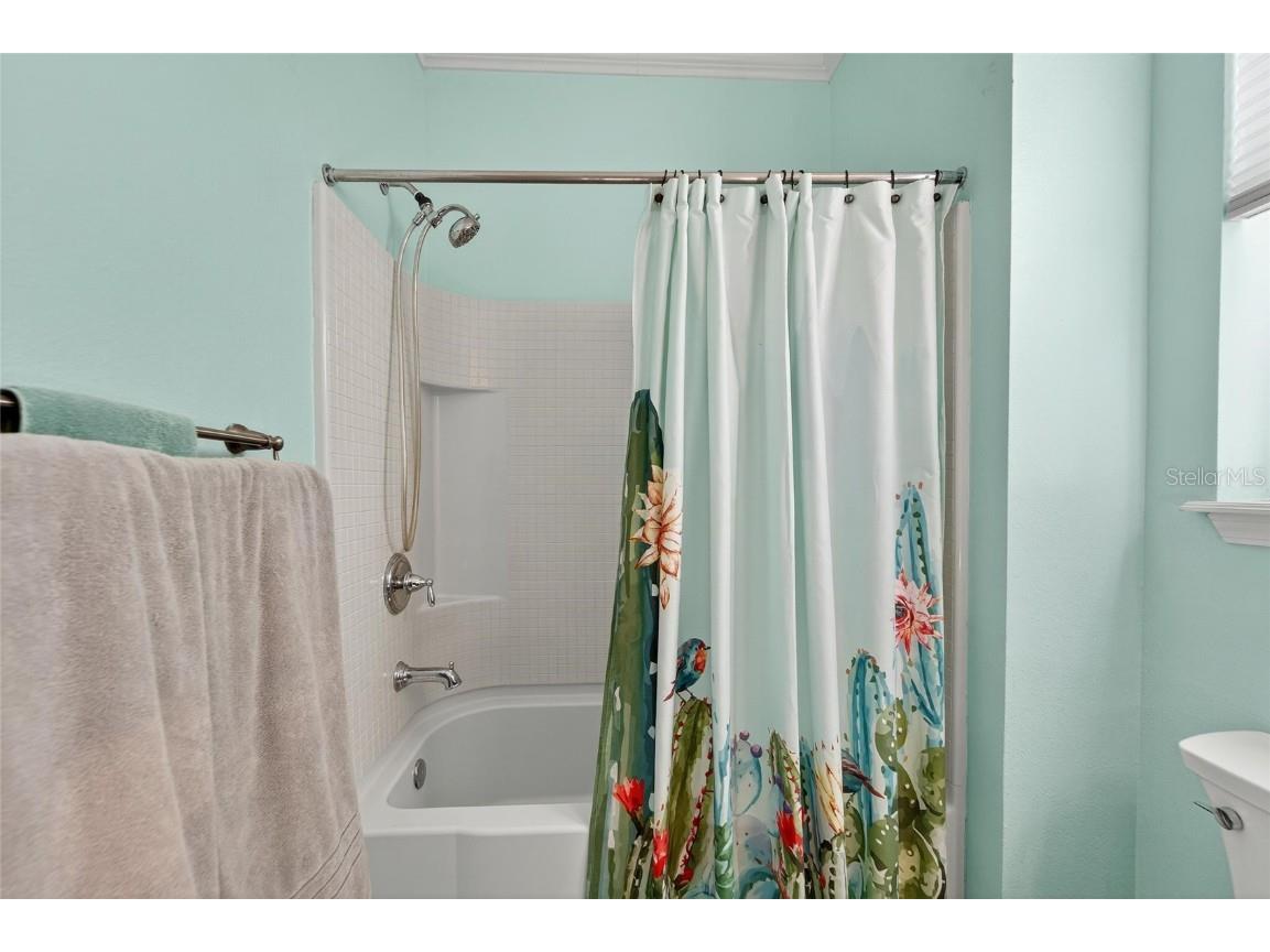 420 Cedar Falls Drive Apollo Beach FL 33572 TB8436360 image36