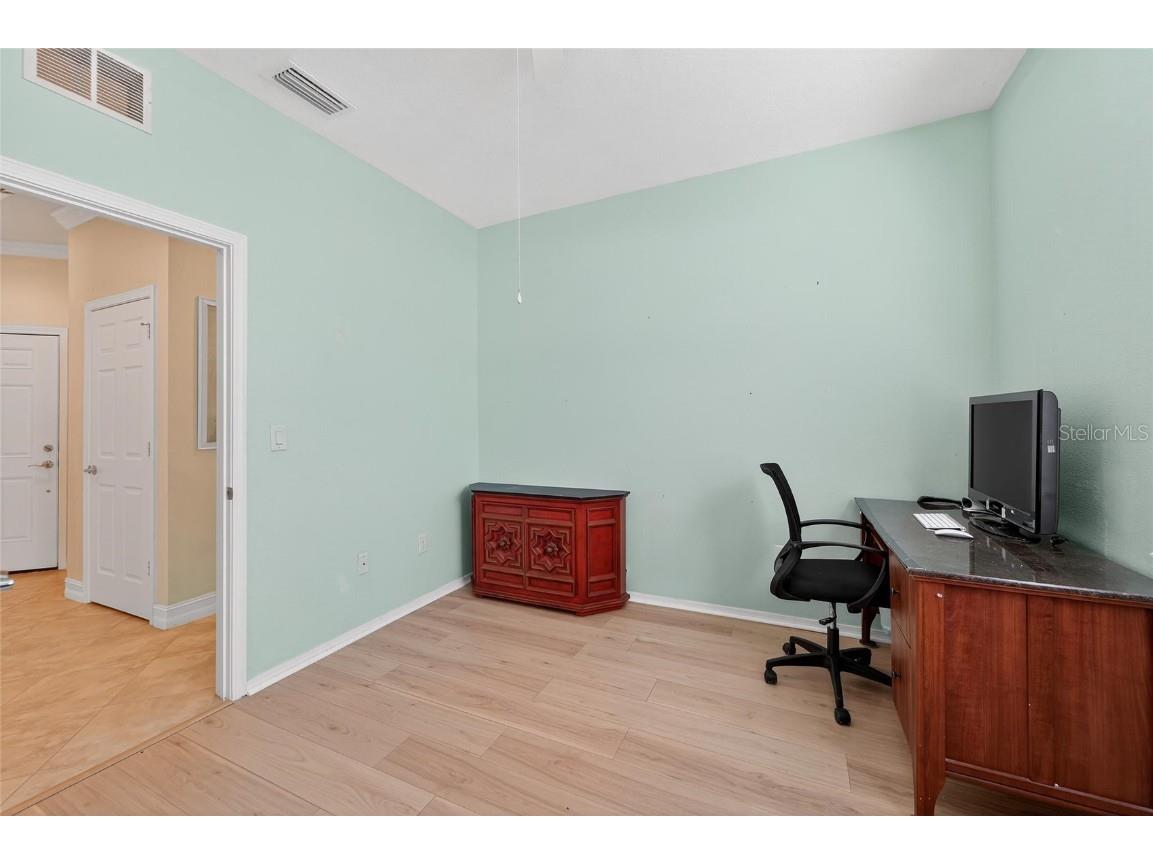 420 Cedar Falls Drive Apollo Beach FL 33572 TB8436360 image39