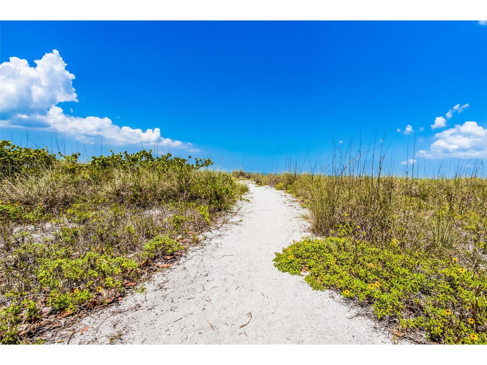 420 Gulf Boulevard #9 Boca Grande FL 33921 - GULF OF AMERICA D6147048 image30