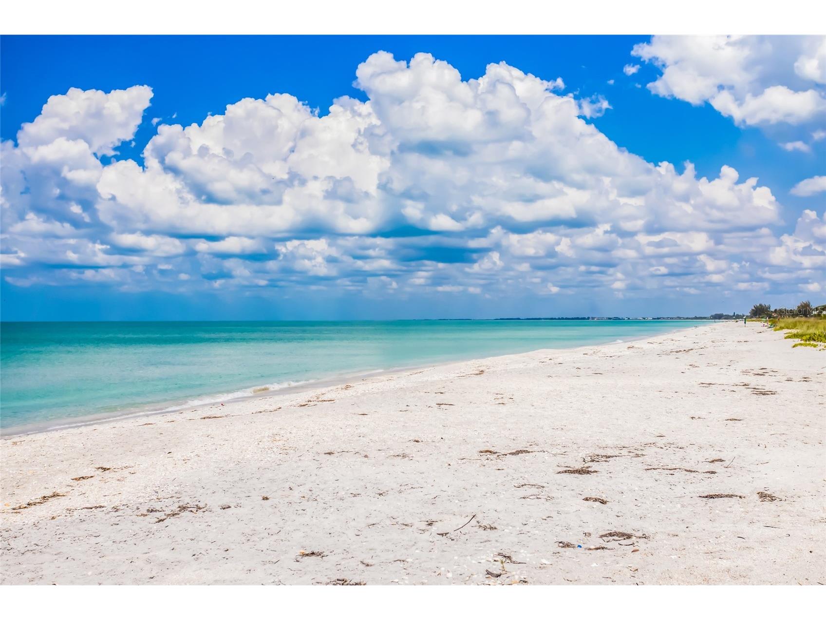 420 Gulf Boulevard #9 Boca Grande FL 33921 - GULF OF AMERICA D6147048 image32