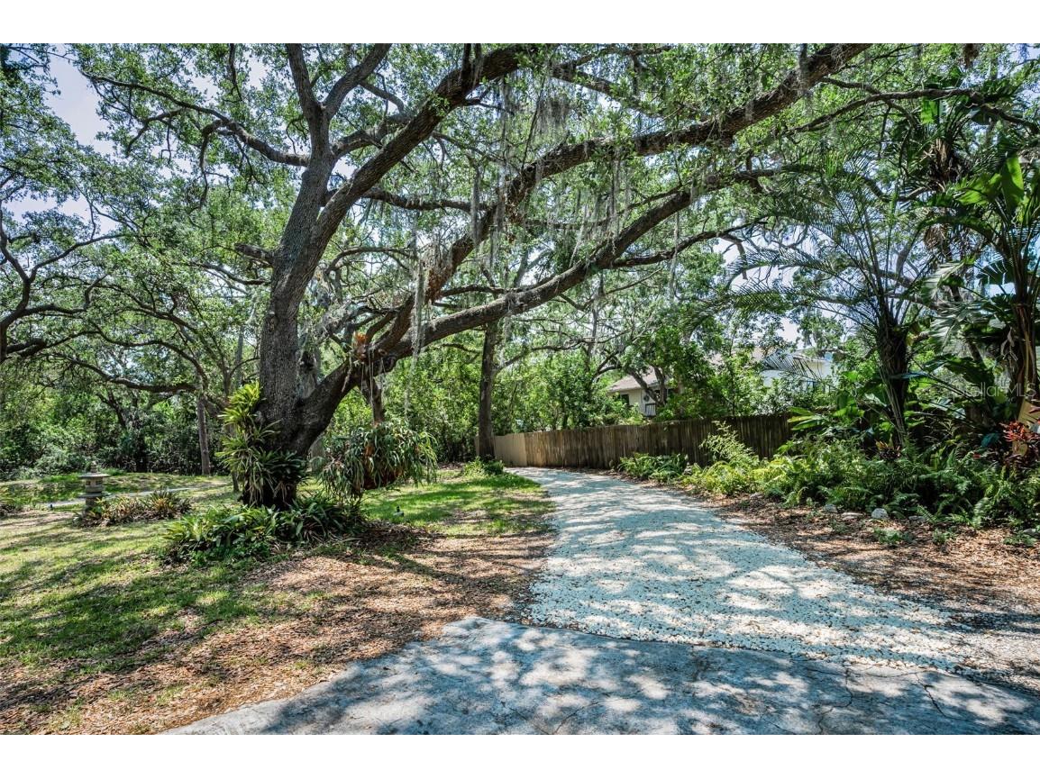 420 Hanby Street Crystal Beach FL 34681 TB8384267 image11