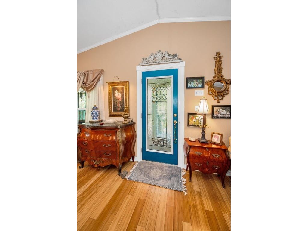 420 Hanby Street Crystal Beach FL 34681 TB8384267 image27