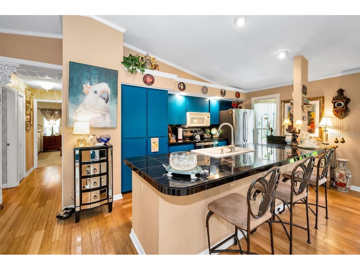 420 Hanby Street Crystal Beach FL 34681 TB8384267 image30