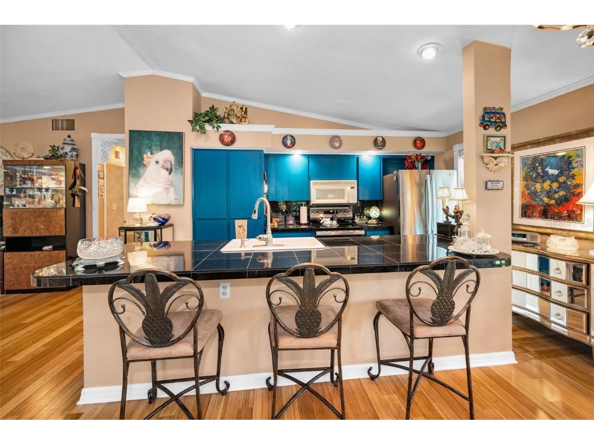 420 Hanby Street Crystal Beach FL 34681 TB8384267 image31