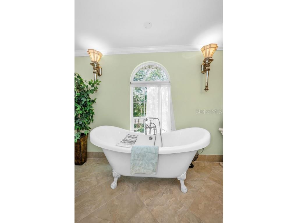 420 Hanby Street Crystal Beach FL 34681 TB8384267 image40