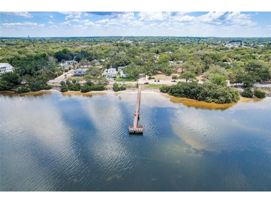 420 Hanby Street Crystal Beach FL 34681 TB8384267 image52