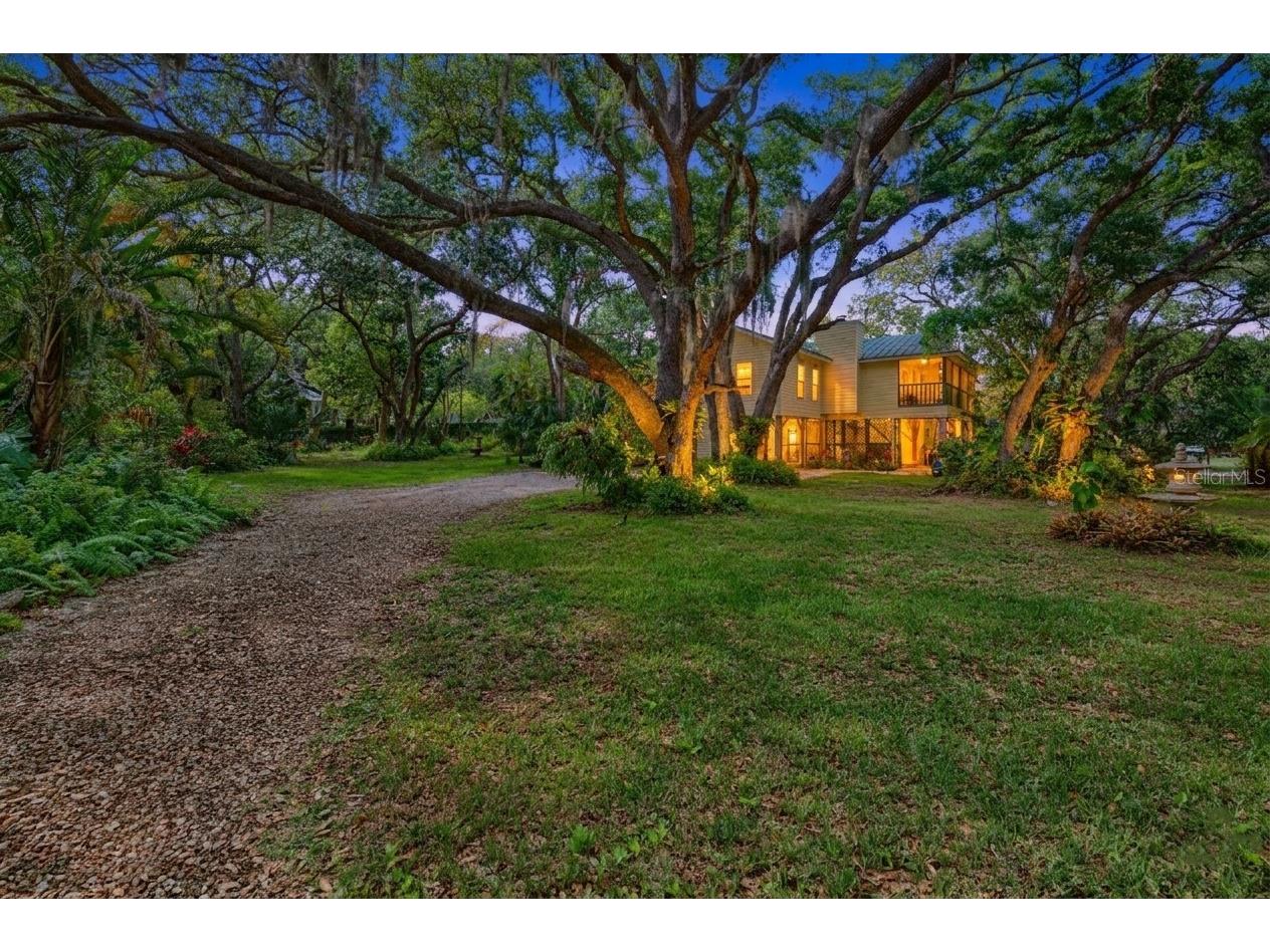 420 Hanby Street Crystal Beach FL 34681 TB8495958 image27