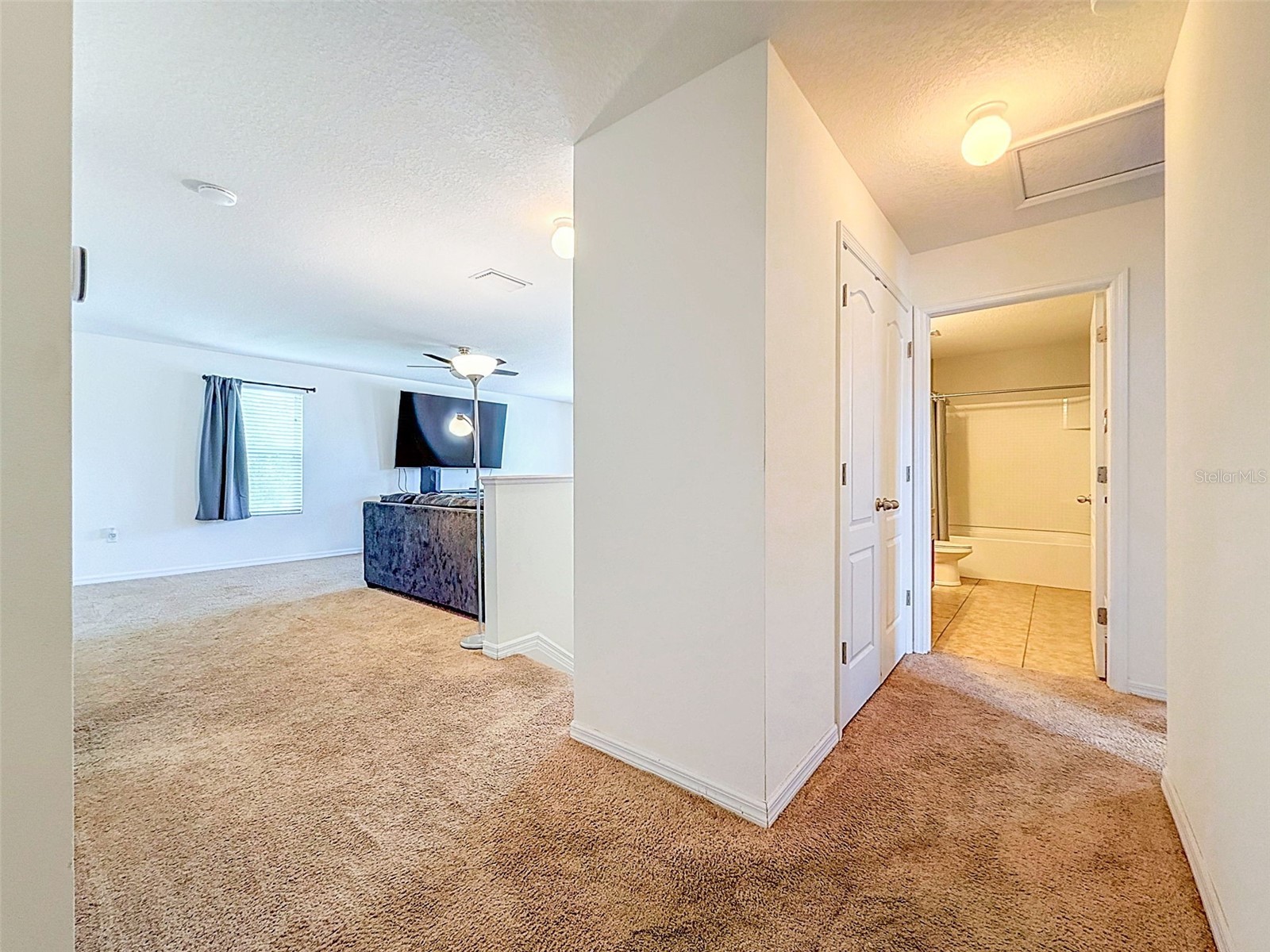 420 Hartford Heights Street Spring Hill FL 34609 TB8517441 image86