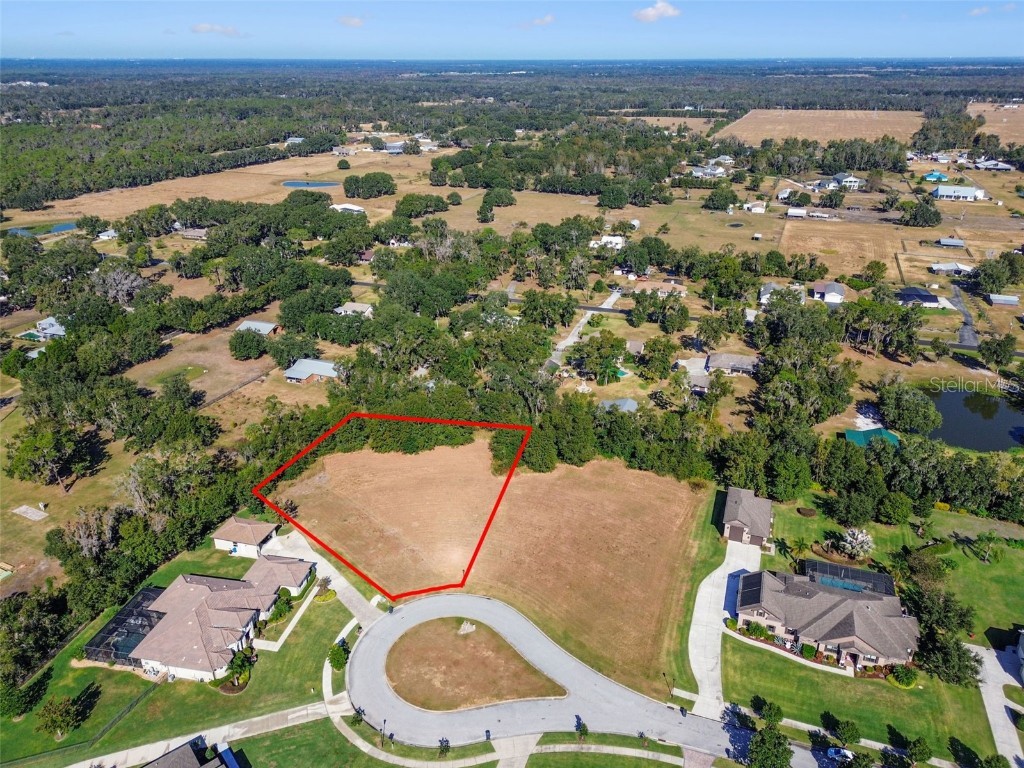 420 Hawk Talon Drive Lithia FL 33547 TB8451576 image5