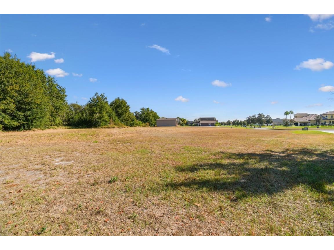 420 Hawk Talon Drive Lithia FL 33547 TB8451576 image6