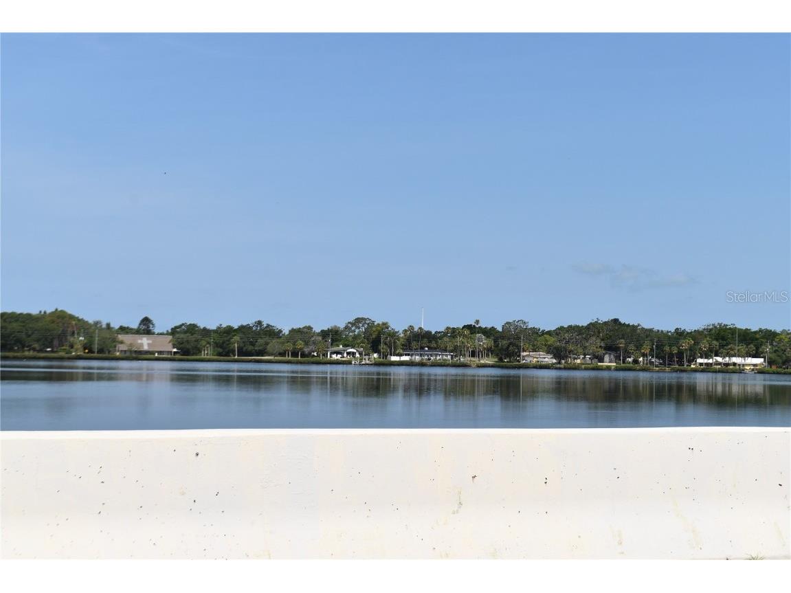 420 Moorings Cove Drive #420 Tarpon Springs FL 34689 TB8386780 image62