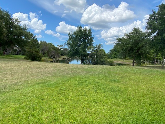 420 Moss View Circle Orlando FL 32825 O6357085 image28