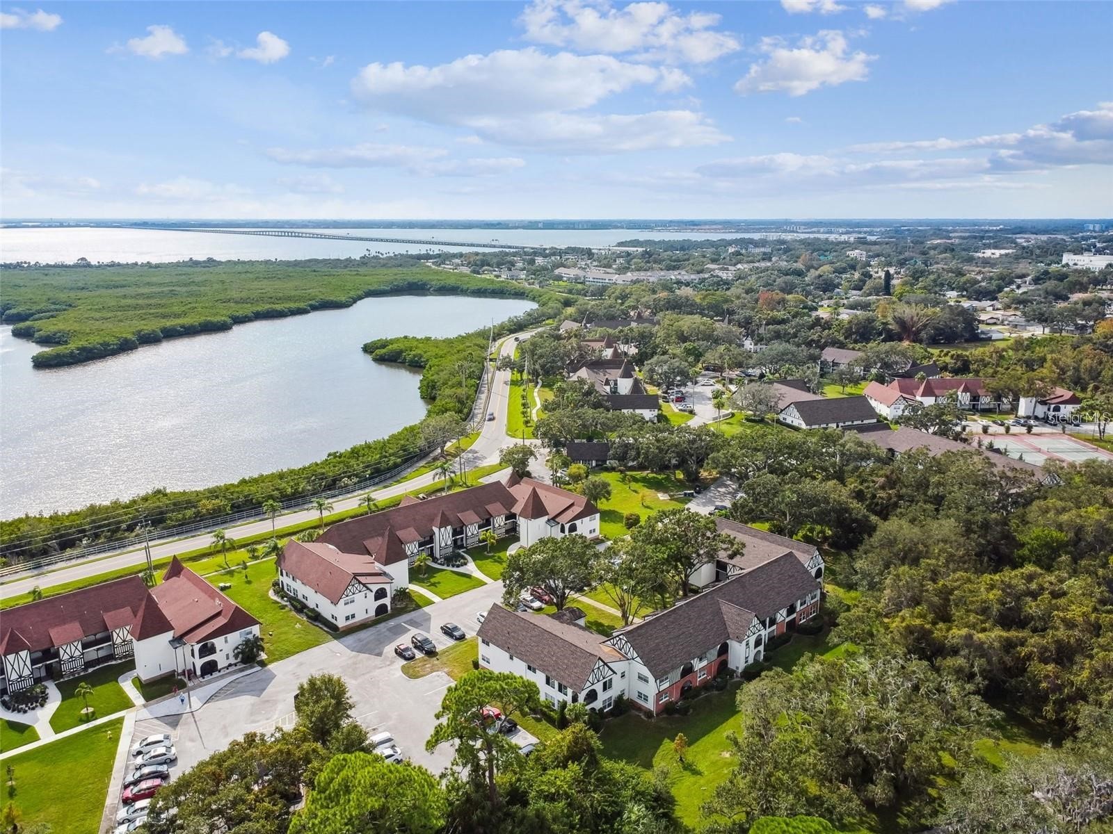 420 N Bayshore Boulevard #102 Clearwater FL 33759 TB8496429 image21