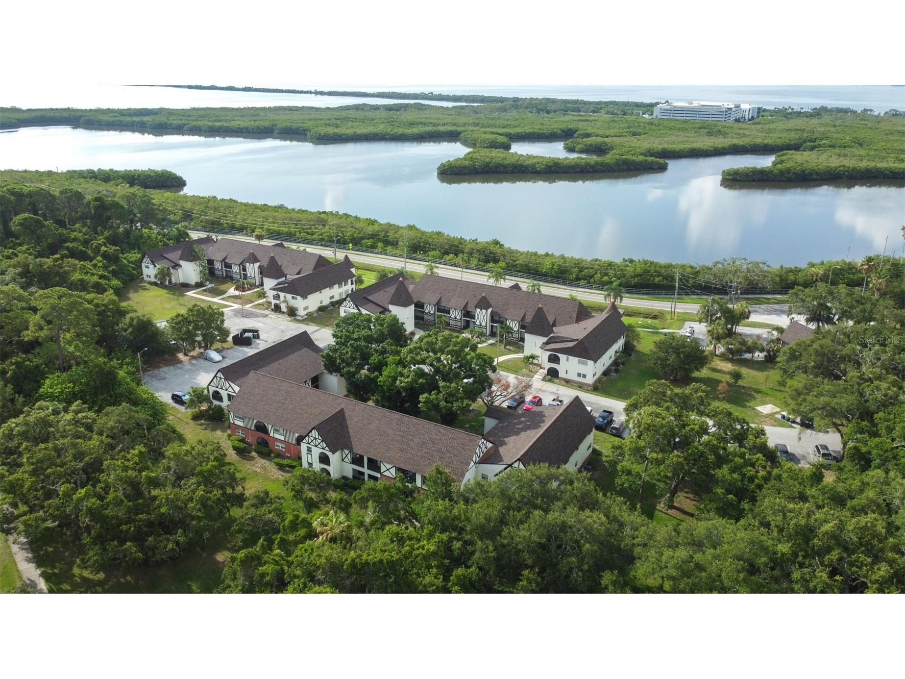 420 N Bayshore Boulevard #102 Clearwater FL 33759 TB8525192 image38