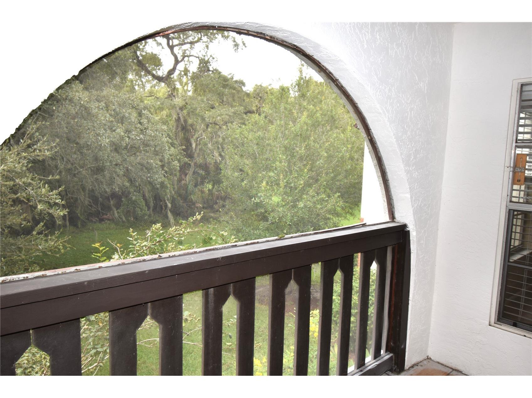 420 N Bayshore Boulevard #202 Clearwater FL 33759 TB8504152 image32