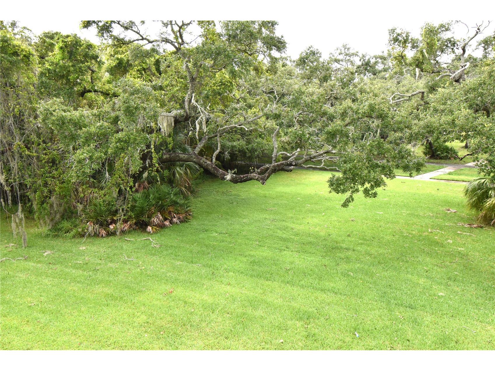 420 N Bayshore Boulevard #202 Clearwater FL 33759 TB8504152 image33