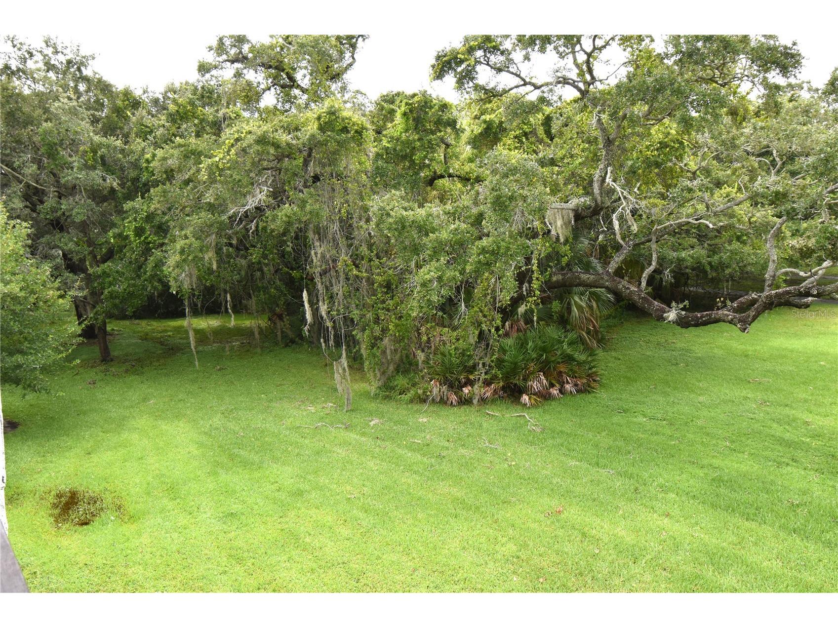 420 N Bayshore Boulevard #202 Clearwater FL 33759 TB8504152 image34