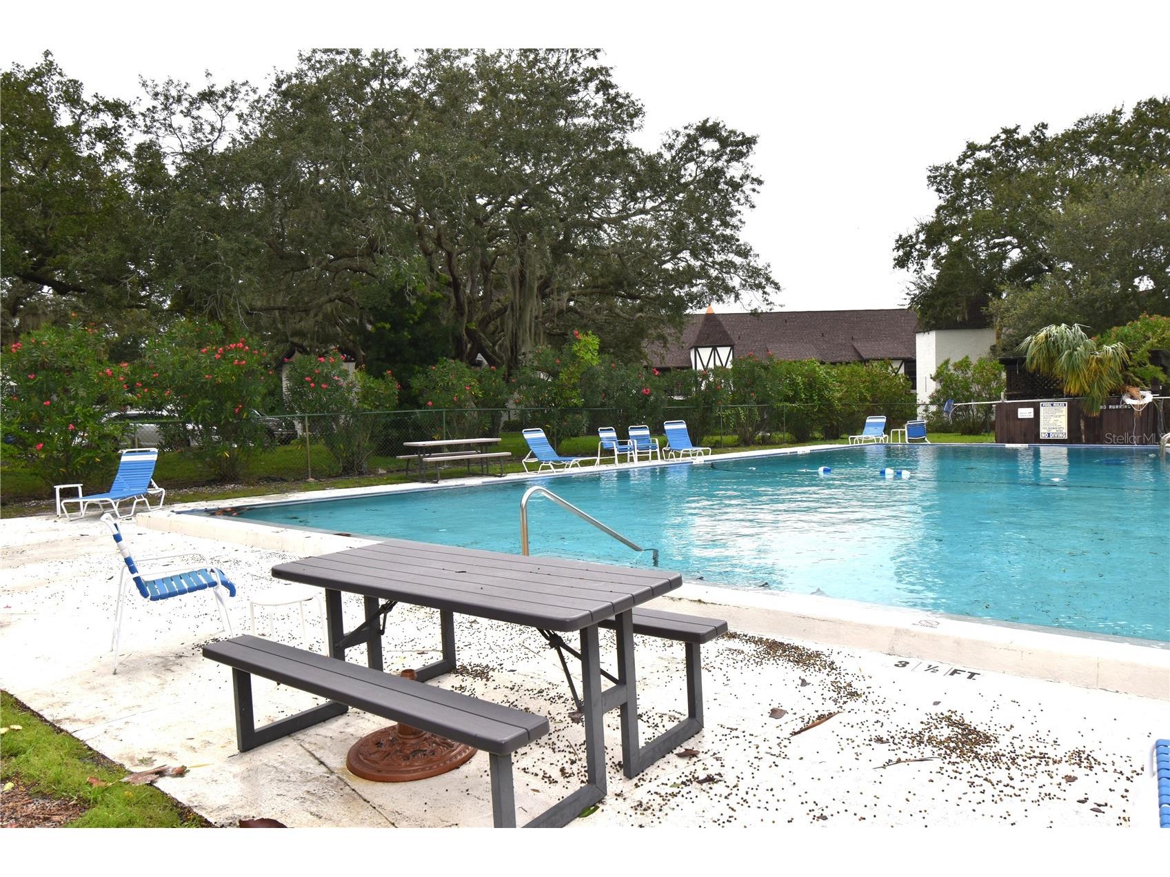 420 N Bayshore Boulevard #202 Clearwater FL 33759 TB8504152 image35