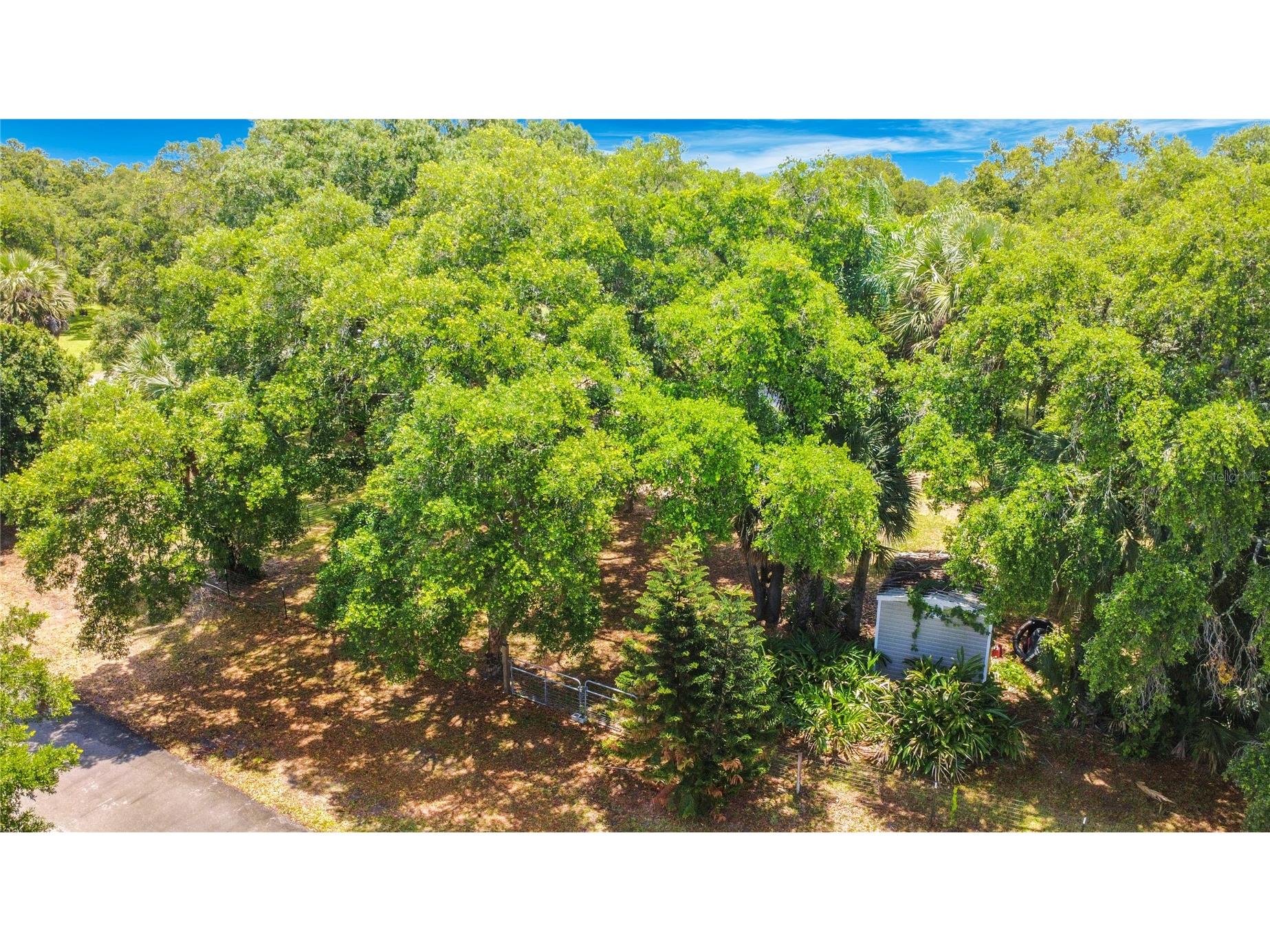 420 Nina Road NE Palm Bay FL 32907 O6410321 image81