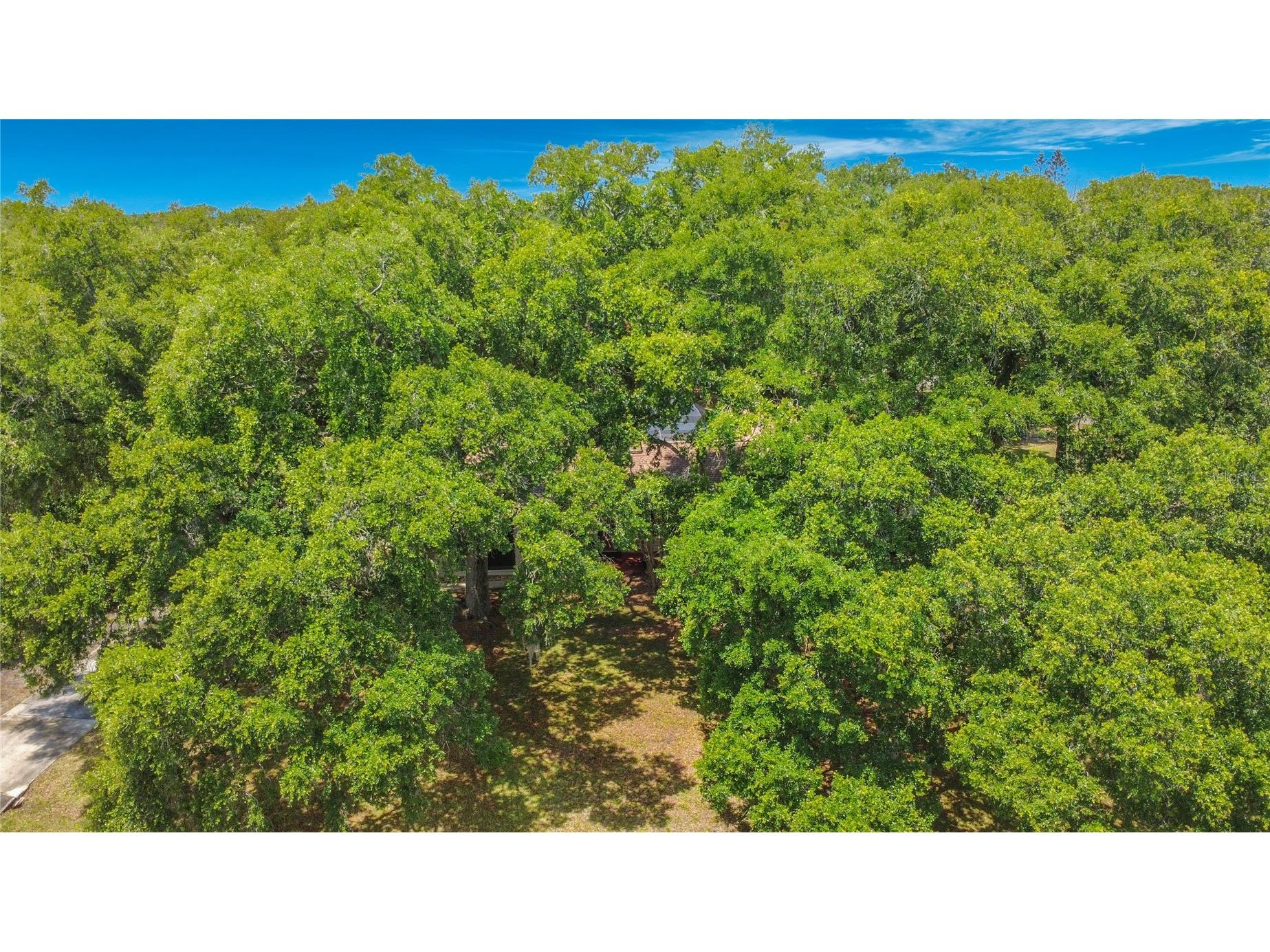 420 Nina Road NE Palm Bay FL 32907 O6410321 image86