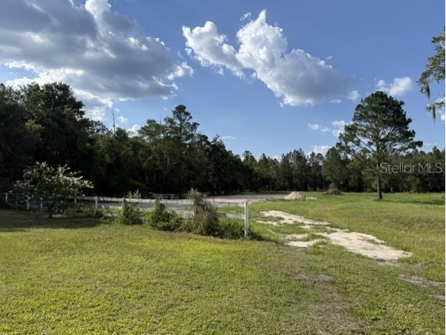 420 NW 9th Avenue Lake Butler FL 32054 GC541602 image2