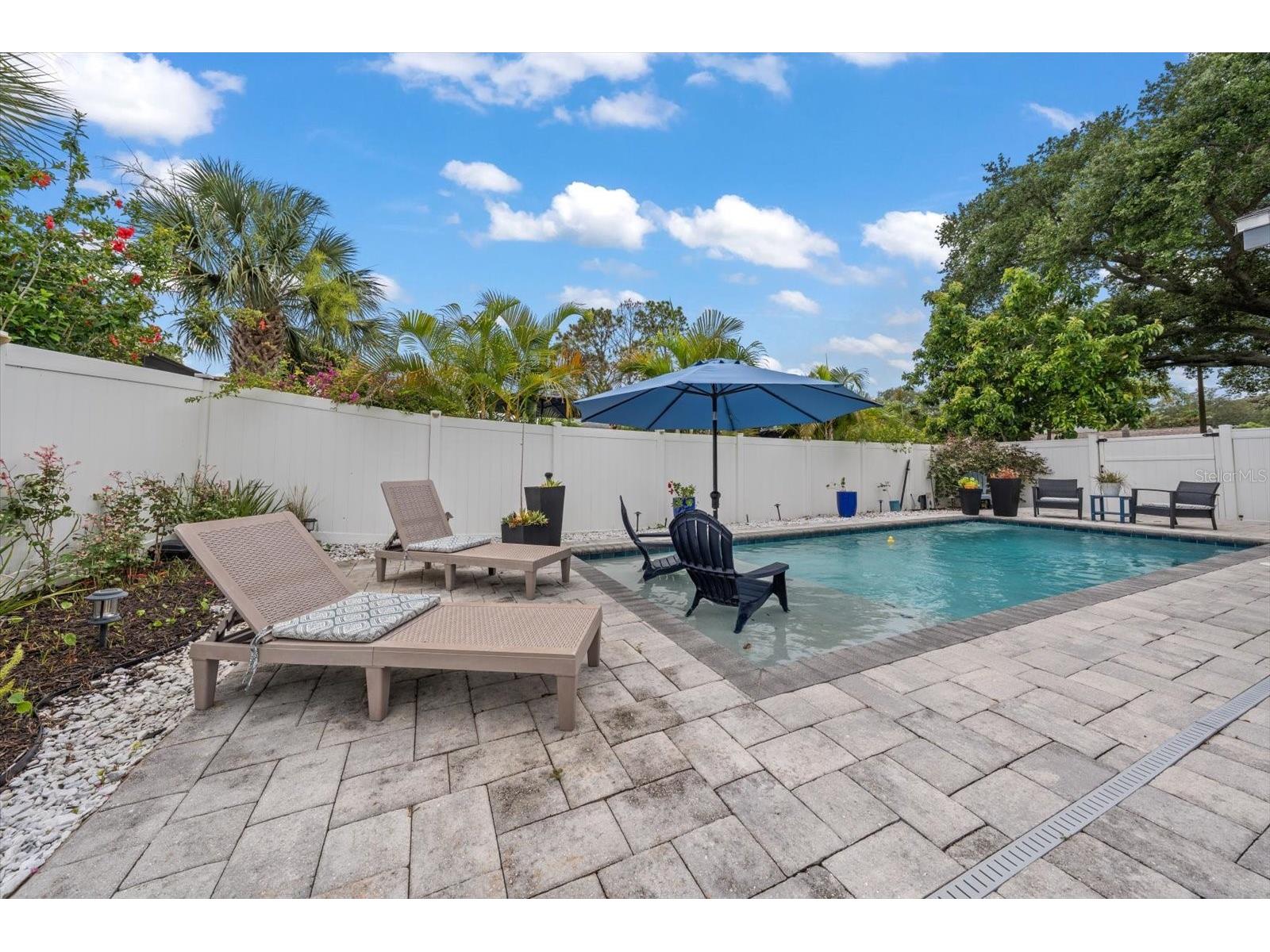 420 Oxford Road Palm Harbor FL 34683 TB8515770 image31