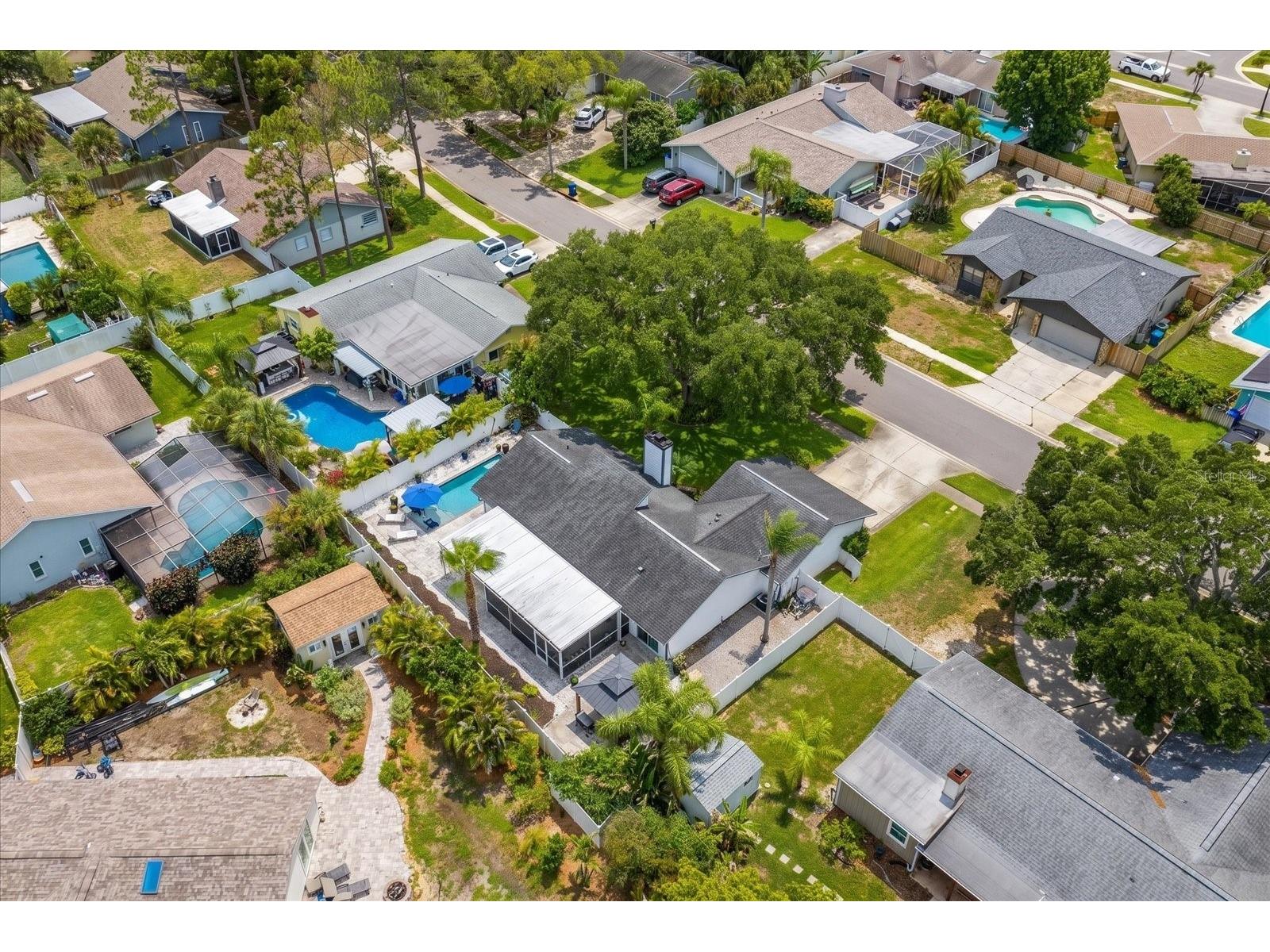 420 Oxford Road Palm Harbor FL 34683 TB8515770 image44