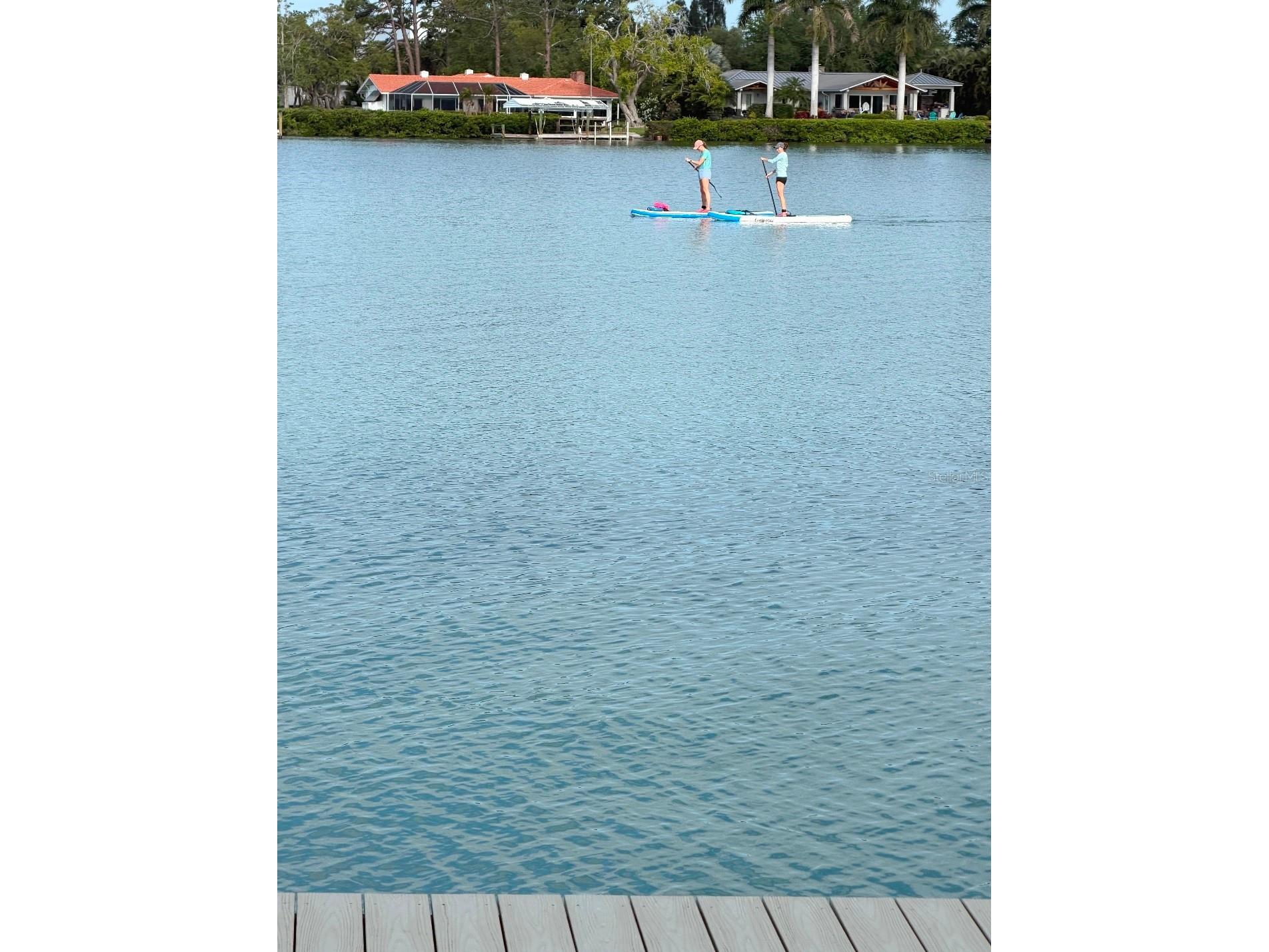 420 Palmetto Crescent Nokomis FL 34275 - LYONS BAY A4689775 image52