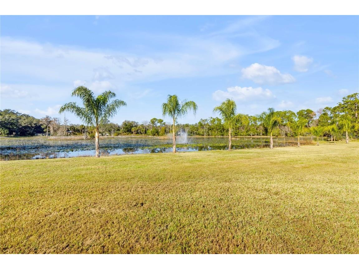 420 Roberts Road Pierson FL 32180 NS1086872 image7