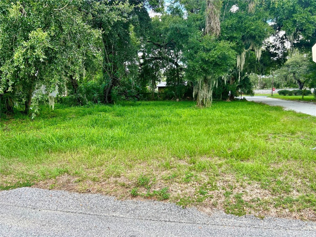 420 S 9th Avenue Bartow FL 33830 O6225169 image1