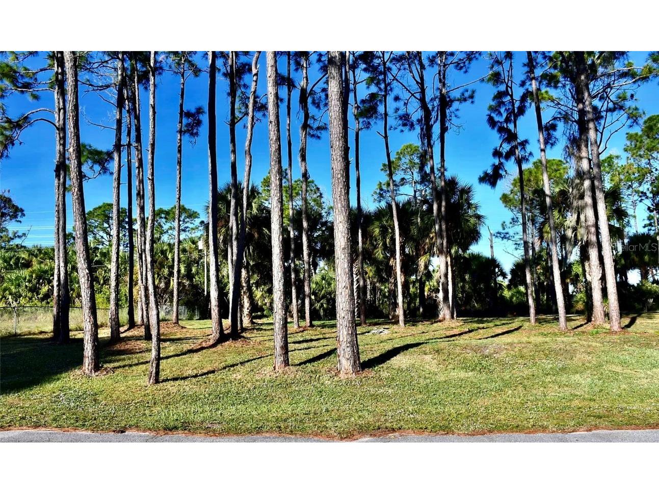 420 Seal Avenue SW Palm Bay FL 32908 J970521 image1