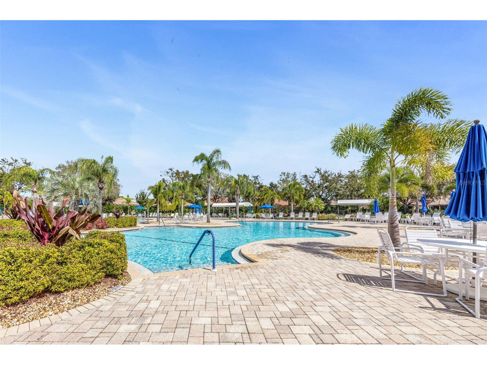 420 Seneca Falls Drive Apollo Beach FL 33572 TB8481956 image38