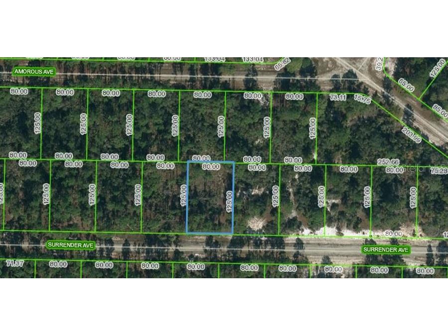 420 Surrender Avenue Lake Placid FL 33852 OM623716 image1