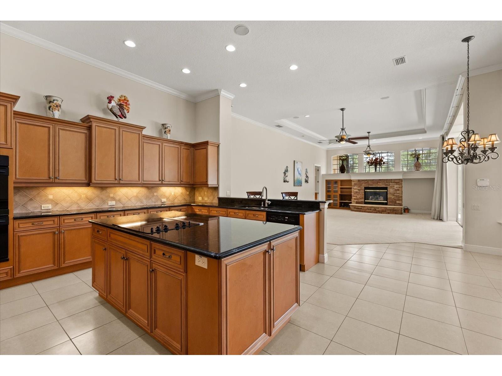 420 Valley Stream Drive Geneva FL 32732 O6400938 image17