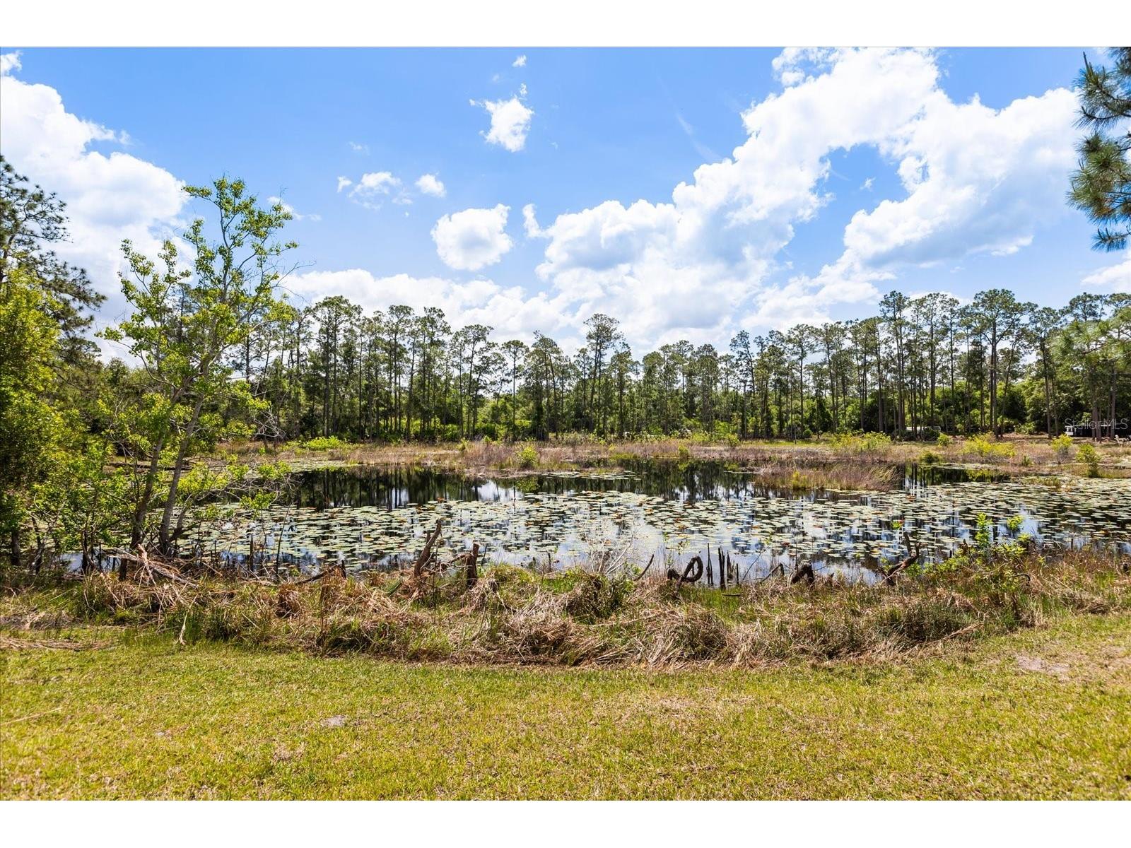 420 Valley Stream Drive Geneva FL 32732 O6400938 image50
