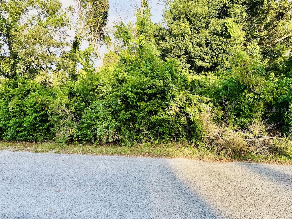 4200 Bing Avenue Spring Hill FL 34606 W7869575 image1